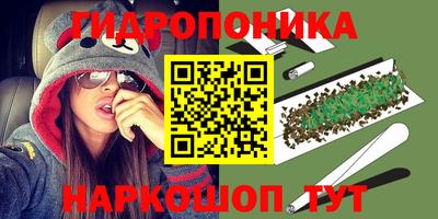 крисы Пугачёв