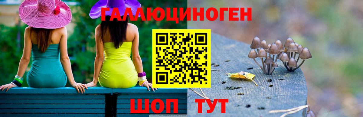 Псилоцибиновые грибы Magic Shrooms Обь